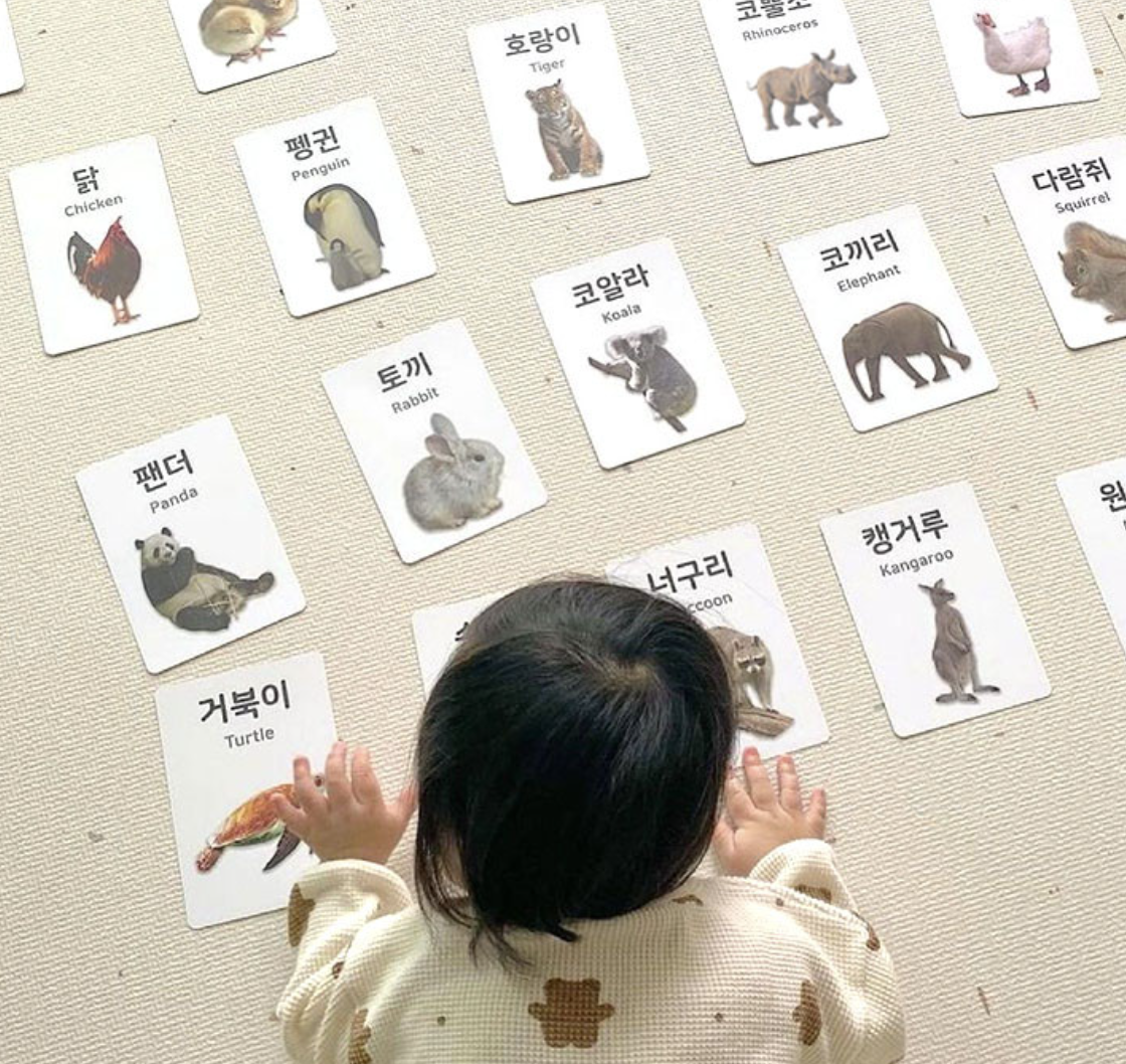 Double-sided Flash Cards Animals (KOR/ENG/Animal sounds)