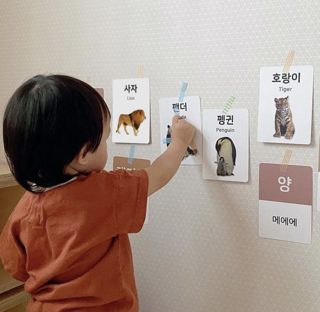 양면 낱말카드 동물 (한글/영어/의성어 의태어)