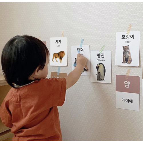 양면 낱말카드 동물 (한글/영어/의성어 의태어)